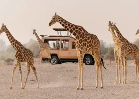 Sir Bani Yas Island