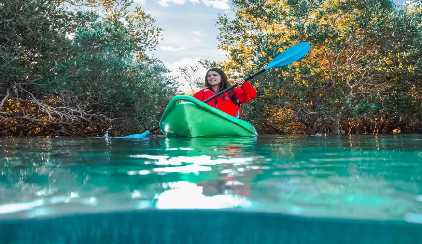 Mangrove National Park
