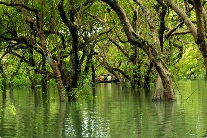 আজ সন্ধ্যা ৬টার মধ্যে দেশের সাত অঞ্চলে ঝড় হতে পারে বলে জানিয়েছে বাংলাদেশ আবহাওয়া অধিদপ্তর। এসব অঞ্চলের নদীবন্দগুলোকে সতর্ক সংকেত দেখাতে বলেছে সংস্থাটি।