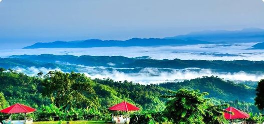 সড়কের পাশে অস্থায়ী দোকানে ঈদের নতুন পোশাক কেনাকাটা,