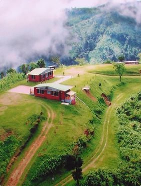 সড়কের পাশে অস্থায়ী দোকানে ঈদের নতুন পোশাক কেনাকাটা,